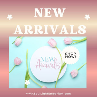 Newest Products