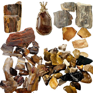 Petrified Wood