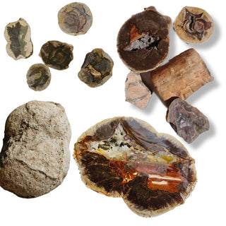 Thundereggs