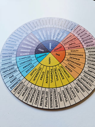 Kinesiology Energy Wheel Positive Mental Health Plaque Wellbeing on stand