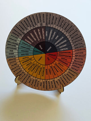 Kinesiology Energy Wheel Positive Mental Health Plaque Wellbeing on stand