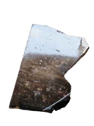 Petrified Wood Slice 100x50x5mm 82gm Unique Polished Genuine Gems Gemstone G2