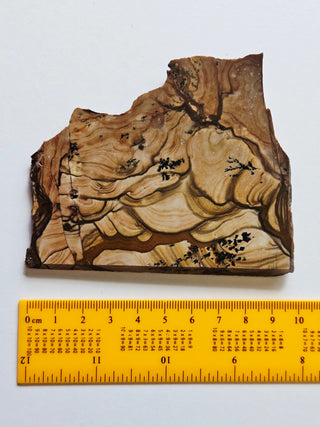 Natural Scenic Picture Jasper Slice Dendritic Inclusions 98gms Genuine Gems Gemstone G6