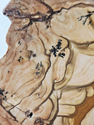 Natural Scenic Picture Jasper Slice Dendritic Inclusions 98gms Genuine Gems Gemstone G6