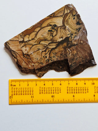 Natural Scenic Picture Jasper Slice Dendritic Inclusions 98gms Genuine Gems Gemstone G6