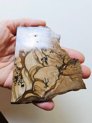 Natural Scenic Picture Jasper Slice Dendritic Inclusions 98gms Genuine Gems Gemstone G6