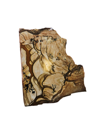Natural Scenic Picture Jasper Slice Dendritic Inclusions 98gms Genuine Gems Gemstone G6
