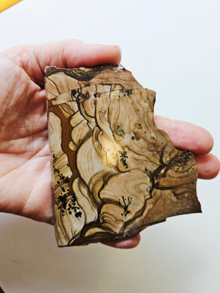 Natural Scenic Picture Jasper Slice Dendritic Inclusions 98gms Genuine Gems Gemstone G6