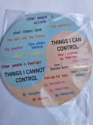 Kinesiology Energy Wheel Positive Mental Health Plaque Wellbeing on stand