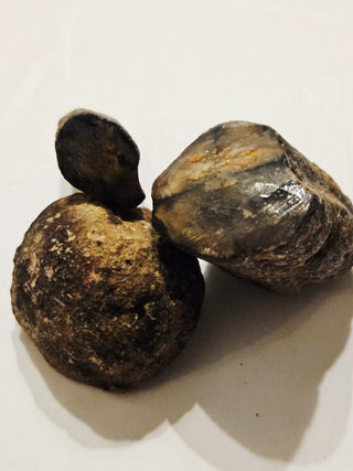 Chiastolite Jerusalem Cross Genuine Gemstones Polished