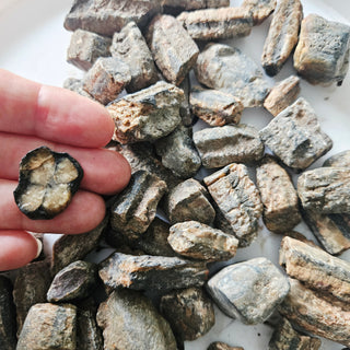 Chiastolite Rough Cross Stone 3-Pack Natural Raw Crystals Lapidary Cutting 10-60mm Hand-Collected Ethically Australia
