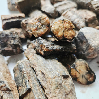 Chiastolite Rough Cross Stone 3-Pack Natural Raw Crystals Lapidary Cutting 10-60mm Hand-Collected Ethically Australia