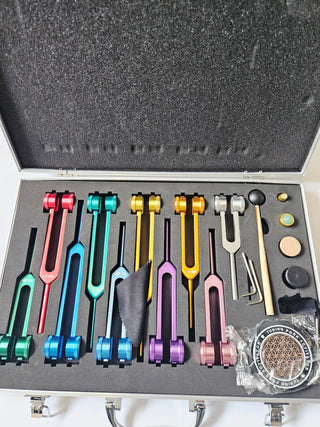 PLANETARY TUNING FORK SET Weighted Cosmic Octave Sound Therapy 10 Forks Crystals Mallet & Case