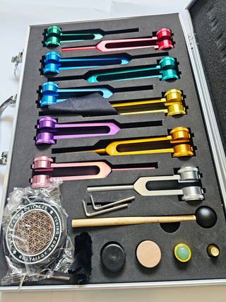 PLANETARY TUNING FORK SET Weighted Cosmic Octave Sound Therapy 10 Forks Crystals Mallet & Case