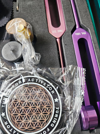 PLANETARY TUNING FORK SET Weighted Cosmic Octave Sound Therapy 8 Forks Crystals Mallet & Case