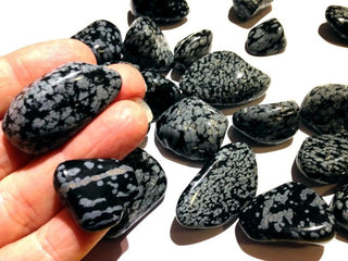 Snowflake Obsidian Tumbled Gemstones 4 Pieces Natural Crystal 20-50mm