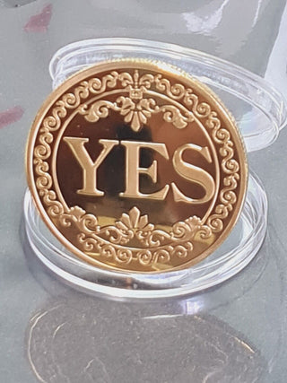 YES NO Fortune Telling Prediction Coin Lucky Gift Boxed Blessed by Master