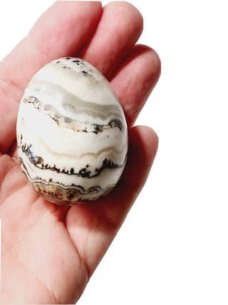 Incredible CALCITE EGG Natural Genuine, Polished Unique, Perfect for Easter G2