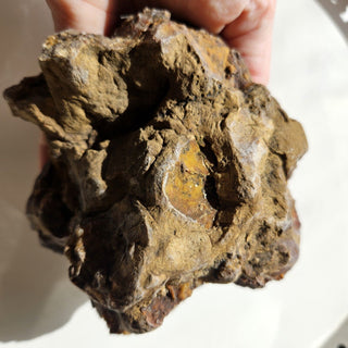 Huge Chunk YOWAH OPAL MATRIX 880gm Australian Natural Genuine Real G1