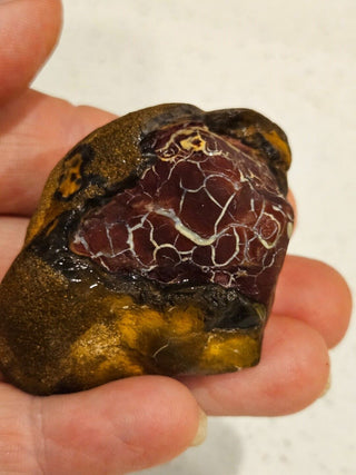 Yowah Crazed Opal Matrix 74gms / 370 Carats Boulder Queensland Wavy H1