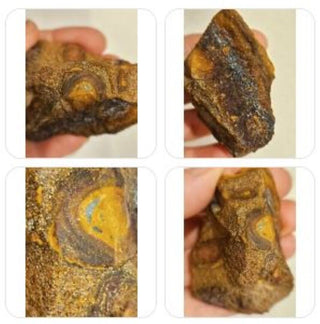 Yowah Nut Opal Matrix 91gms / 455 Carats Boulder Queensland Little Colour Nut H1