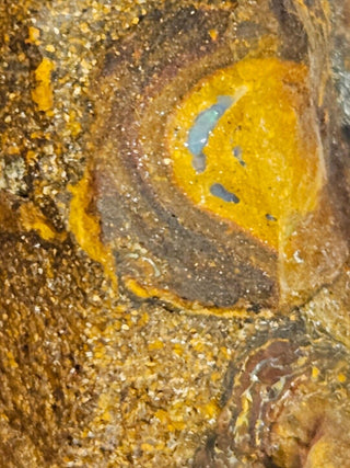 Yowah Nut Opal Matrix 91gms / 455 Carats Boulder Queensland Little Colour Nut H1
