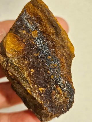 Yowah Nut Opal Matrix 91gms / 455 Carats Boulder Queensland Little Colour Nut H1