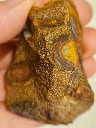Yowah Nut Opal Matrix 91gms / 455 Carats Boulder Queensland Little Colour Nut H1