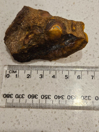 Yowah Nut Opal Matrix 91gms / 455 Carats Boulder Queensland Little Colour Nut H1