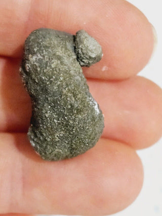 2 x Pyritized Gastropod Pyrite Shells Fossils Genuine Gems Gemstone H1