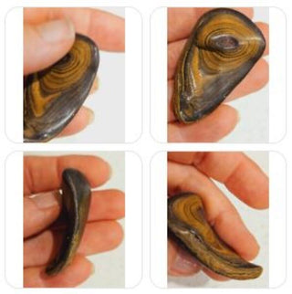 Semi Polished Yowah Opal Matrix Swirl 23gms / 115 Carats Boulder Queensland H1