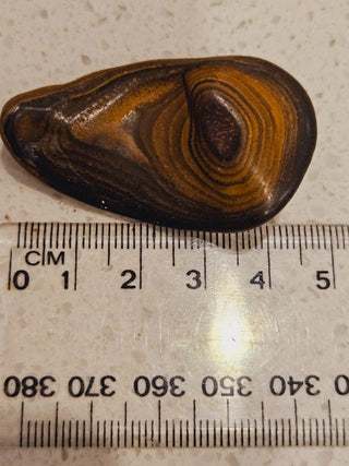 Semi Polished Yowah Opal Matrix Swirl 23gms / 115 Carats Boulder Queensland H1