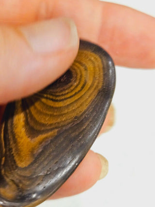 Semi Polished Yowah Opal Matrix Swirl 23gms / 115 Carats Boulder Queensland H1