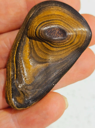 Semi Polished Yowah Opal Matrix Swirl 23gms / 115 Carats Boulder Queensland H1