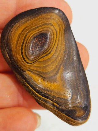 Semi Polished Yowah Opal Matrix Swirl 23gms / 115 Carats Boulder Queensland H1