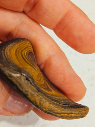 Semi Polished Yowah Opal Matrix Swirl 23gms / 115 Carats Boulder Queensland H1