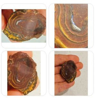 Yowah Opal Matrix Nut 30gms / 150 Carats Boulder Queensland Colour Banding H1