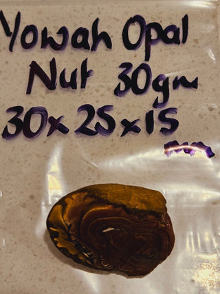 Yowah Opal Matrix Nut 30gms / 150 Carats Boulder Queensland Colour Banding H1