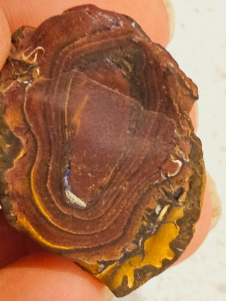 Yowah Opal Matrix Nut 30gms / 150 Carats Boulder Queensland Colour Banding H1