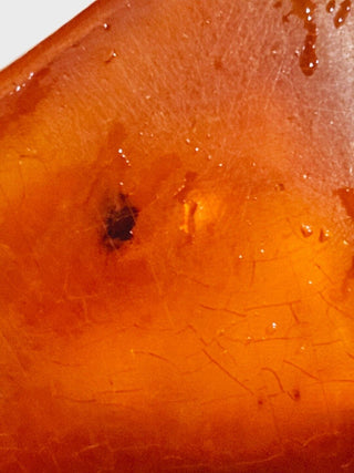 Natural Amber with insect inclusion Genuine Gems Gemstone Rare Unusual  H1