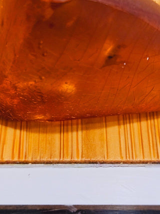 Natural Amber with insect inclusion Genuine Gems Gemstone Rare Unusual  H1