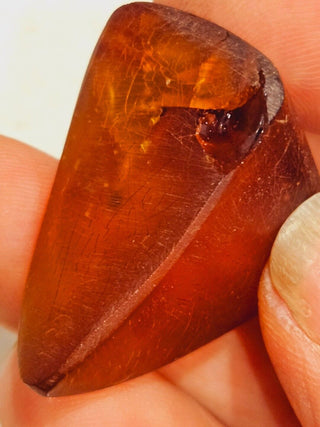 Natural Amber with insect inclusion Genuine Gems Gemstone Rare Unusual  H1