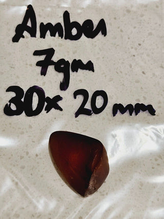 Natural Amber with insect inclusion Genuine Gems Gemstone Rare Unusual  H1