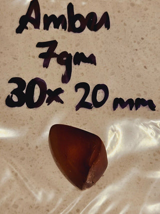 Natural Amber with insect inclusion Genuine Gems Gemstone Rare Unusual  H1
