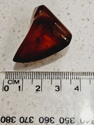 Natural Amber with insect inclusion Genuine Gems Gemstone Rare Unusual  H1