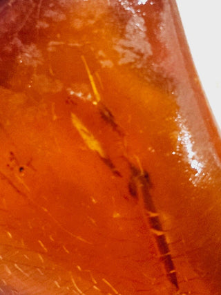 Natural Amber with insect inclusion Genuine Gems Gemstone Rare Unusual  H1
