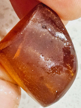 Natural Amber with insect inclusion Genuine Gems Gemstone Rare Unusual  H1