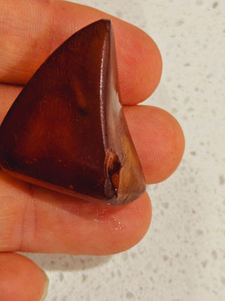 Natural Amber with insect inclusion Genuine Gems Gemstone Rare Unusual  H1