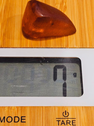 Natural Amber with insect inclusion Genuine Gems Gemstone Rare Unusual  H1