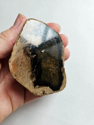 Petrified Wood, Polished Face, Beautiful Markings 149gm Genuine Gems Gemstone G2